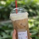 공차 우롱티 오리지널티 후기 | 치즈폼 조합 | 우롱밀크티는 좋았는데 호불호 갈릴 맛