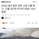 [속보] 경남 합천·경북 고령 산불 확산‥산불 3단계·국가위기경보 '심각 발령' 이미지