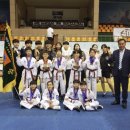 한국체대국제태권도 이미지
