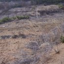 태광농장 이미지