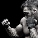 1994복싱 이미지