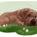 강아지그림