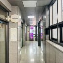 동글댕글 | [경기/안산] 안산 강아지 미용 추천 , 초지역 애견미용 동글댕글