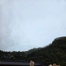 사립강원종합박물관 | 댕댕이와 함께하는 특별한 박물관 나들이! 사립 강원종합박물관 방문 후기