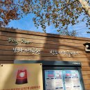 뛰뛰 강아지 놀이터 이미지