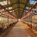 삼우농장 이미지