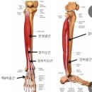 중풍과 발의 안정화 이미지