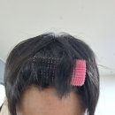 주식회사 데일리앤코 | 뿌리볼륨,헤어롤추천템,간편스타일링,헤어볼륨,퀵스타일링,헤어롤사용법