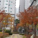 계양임광그대가아파트 이미지