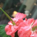 빛으로부터..(fr 이미지