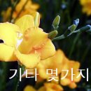 욕실청소 노하우 이미지