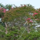 동호농장 이미지