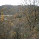 무릉도원면-15 이미지