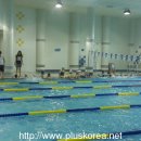 고창군 청소년수련관 실내수영장 이미지