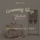 GS25 은평보람점 | 최소화 긍정 미용 | 쉬는 시간 있는 반려동물미용실, 오쉬오트 | 은평구 애견미용 추천 | 내돈내산 후기