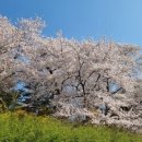 이별의 속도 / 임재정 ​ 이미지