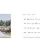 러브올포토그라피