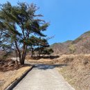 팔공산 둘레길 4구간 이미지