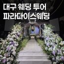 파라다이스웨딩 | 대구 파라다이스웨딩홀 견적 후기｜파라다이스웨딩 계약 완료 솔직 후기