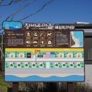 해송피크닉장 이미지