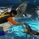 장생포고래박물관 이미지