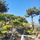 고골낚시터 이미지