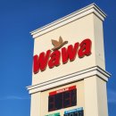 (주)한대동부주유소 | 미국 올랜도 편의점 이용 꿀팁! Wawa 스무디와 Sub 샌드위치 온라인 픽업 후기