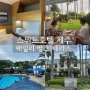 제주이서 | 제주 5성급 스위트호텔 패밀리 벙크 테라스 온수풀 카바나 패키지 후기