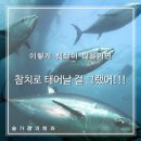 봄가정의학과