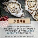 바다쿡 이미지