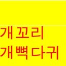 바른꼴개발 이미지