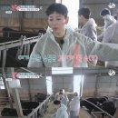 김용국목장 이미지