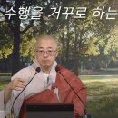 [황벽48]🌻 수행을 거꾸로 하는 사람, 이심전심이 곧 정견 이미지