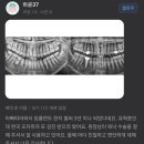 세인트치과의원 이미지