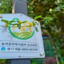 창넓은펜션 네이버블로그
