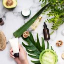 주식회사 한일과학 | 한국 비건 코스메틱이 일본에서 성공하려면?한‧일 비건 인증·표시 차이와 PR 전략 포인트