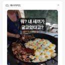 파주시 급식센터 꿈도락 | 예스24 파주 물류센터 아르바이트 후기