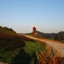 석호 Daum카페