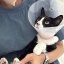 오묘화당 이미지