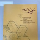 시민회관(건너) Daum카페