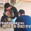에이스동물메디컬센터