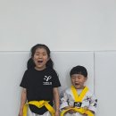 용인대 사랑가득 태권도장 이미지