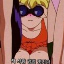세이폴댄스 이미지