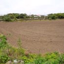 신천리마을회관 이미지