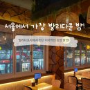 발리다포차 | 신대방삼거리에서 만난 서울에서 가장 발리다운 밤!발리다포차 후기