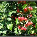 고지농장 이미지