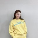 병아리삐약