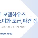 케이잡솔루션 티스토리