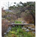 황학산수목원 티스토리