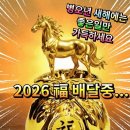 세륜주 - 강서구 공항로539번길 63 | 세륜주